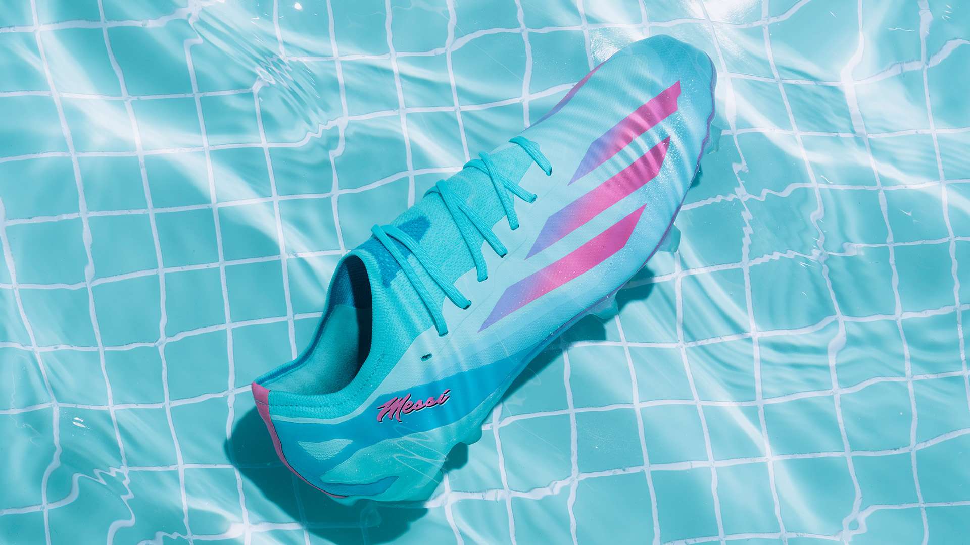 近期的报道 近期的报道