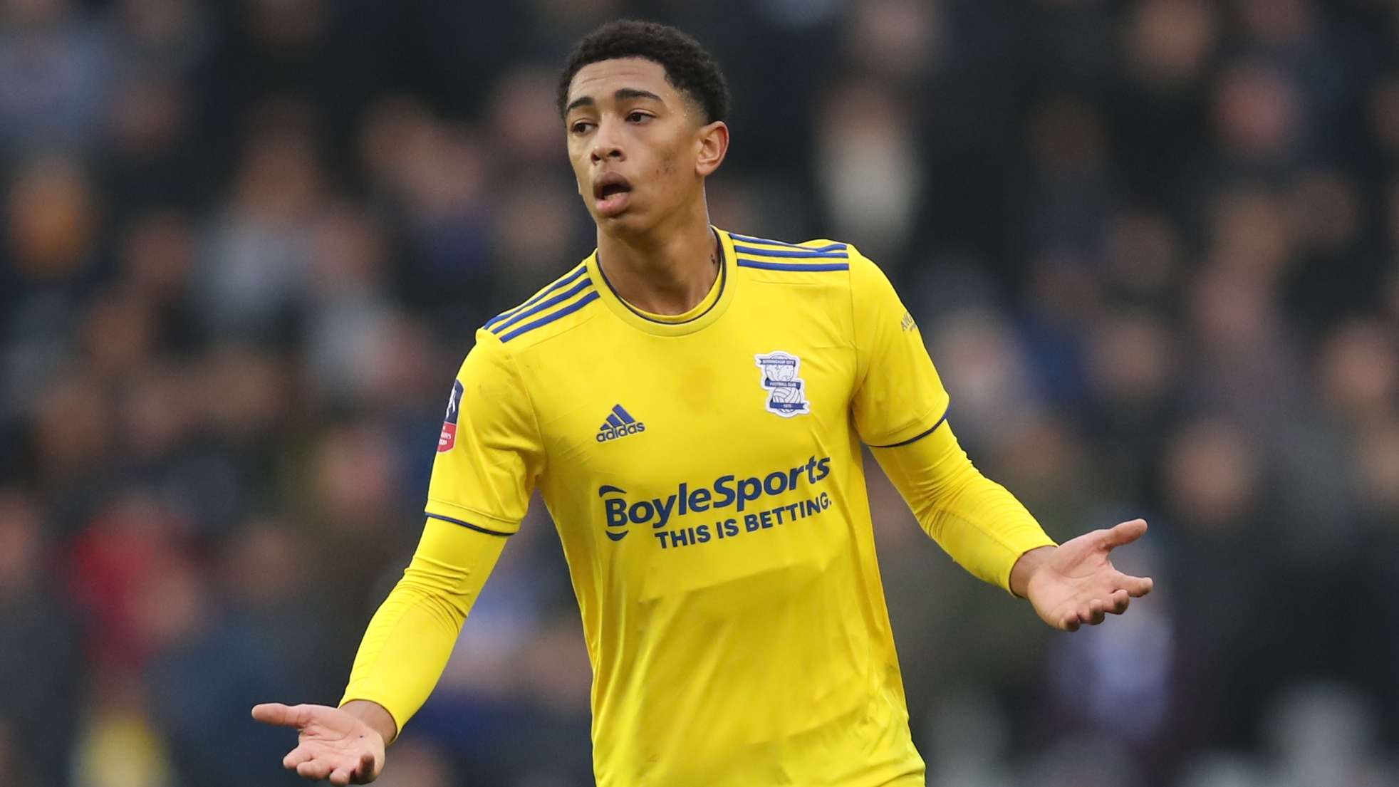 中摇摆不定 中摇摆不定