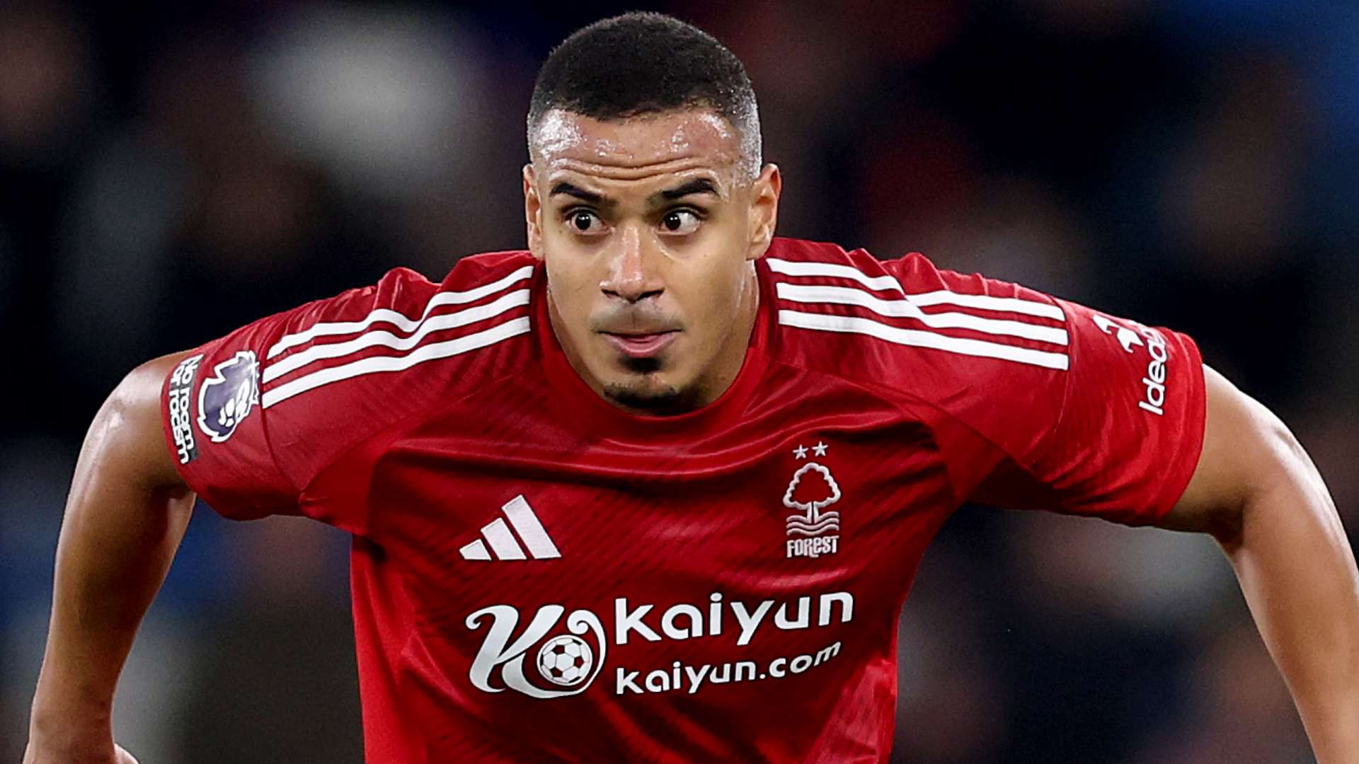 乔治娜坦言今年经历复杂挑战展望未来希望与勇气共存