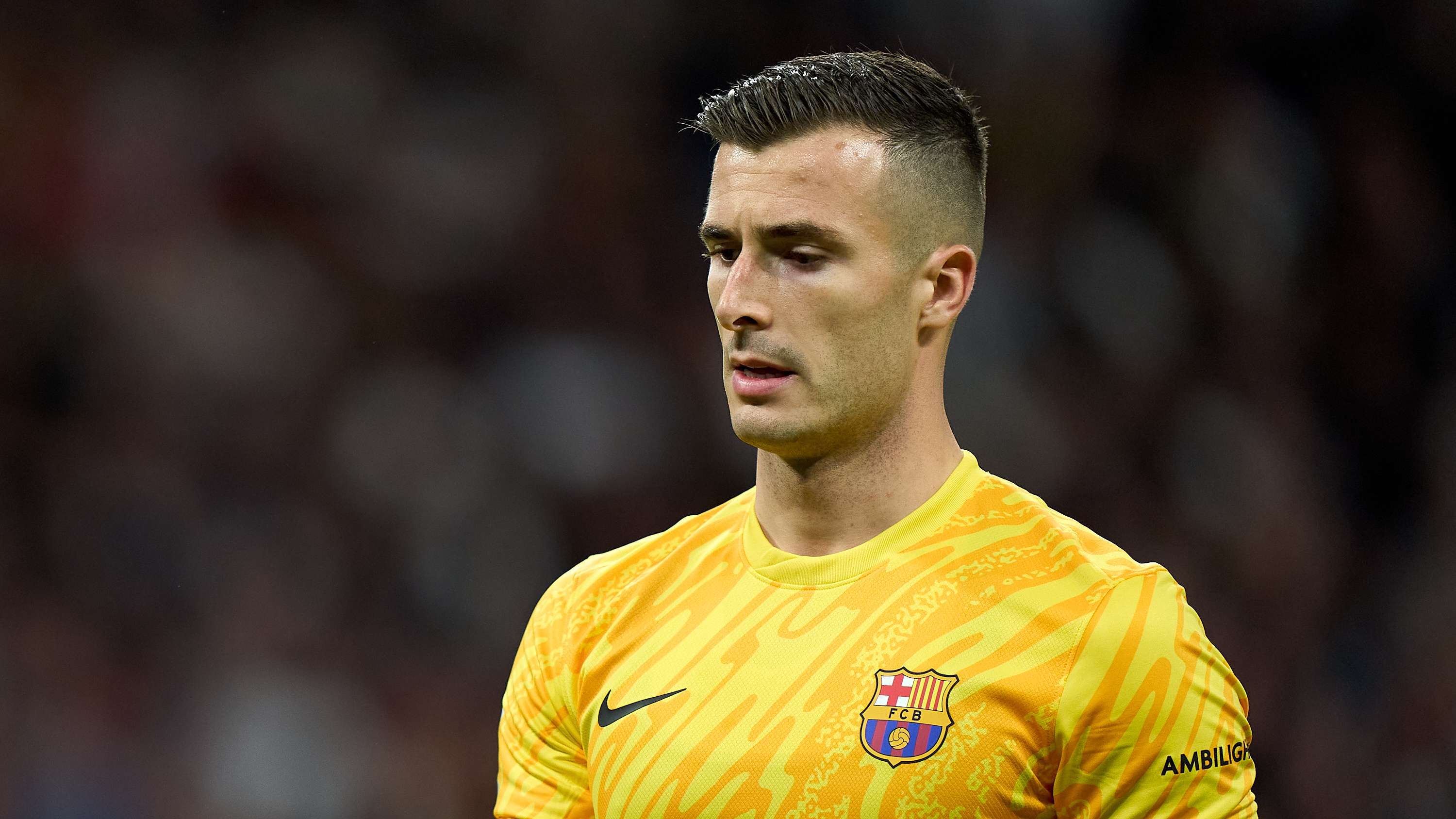 进而共同为 进而共同为