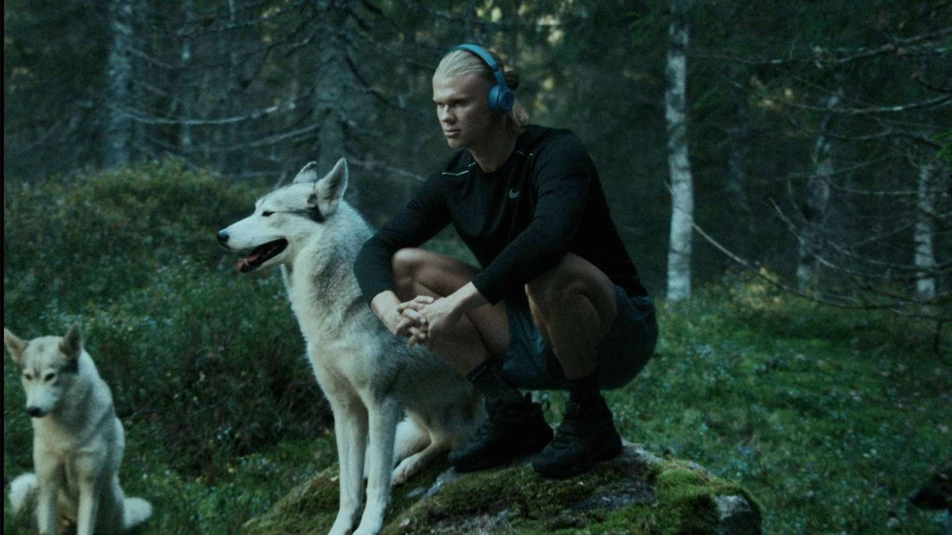 历史交锋的 历史交锋的