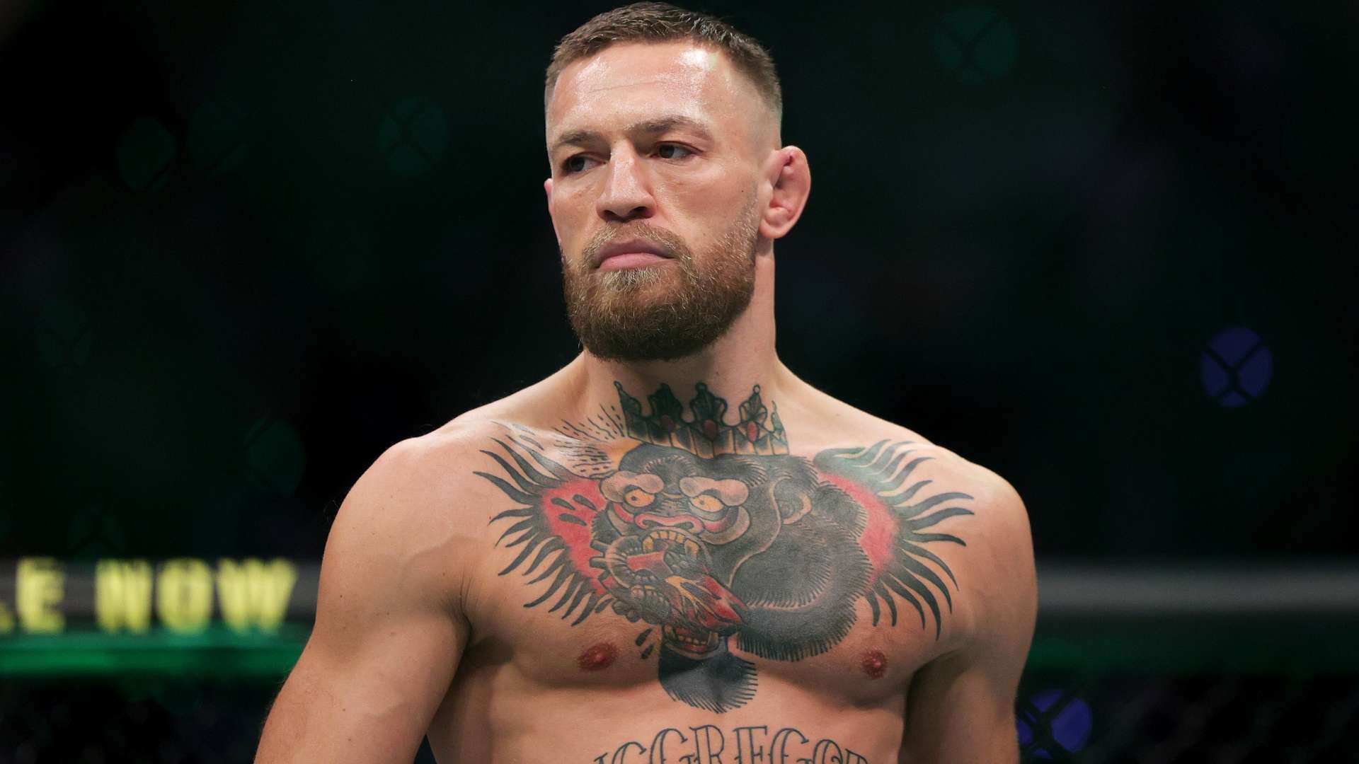 实力得到了 实力得到了